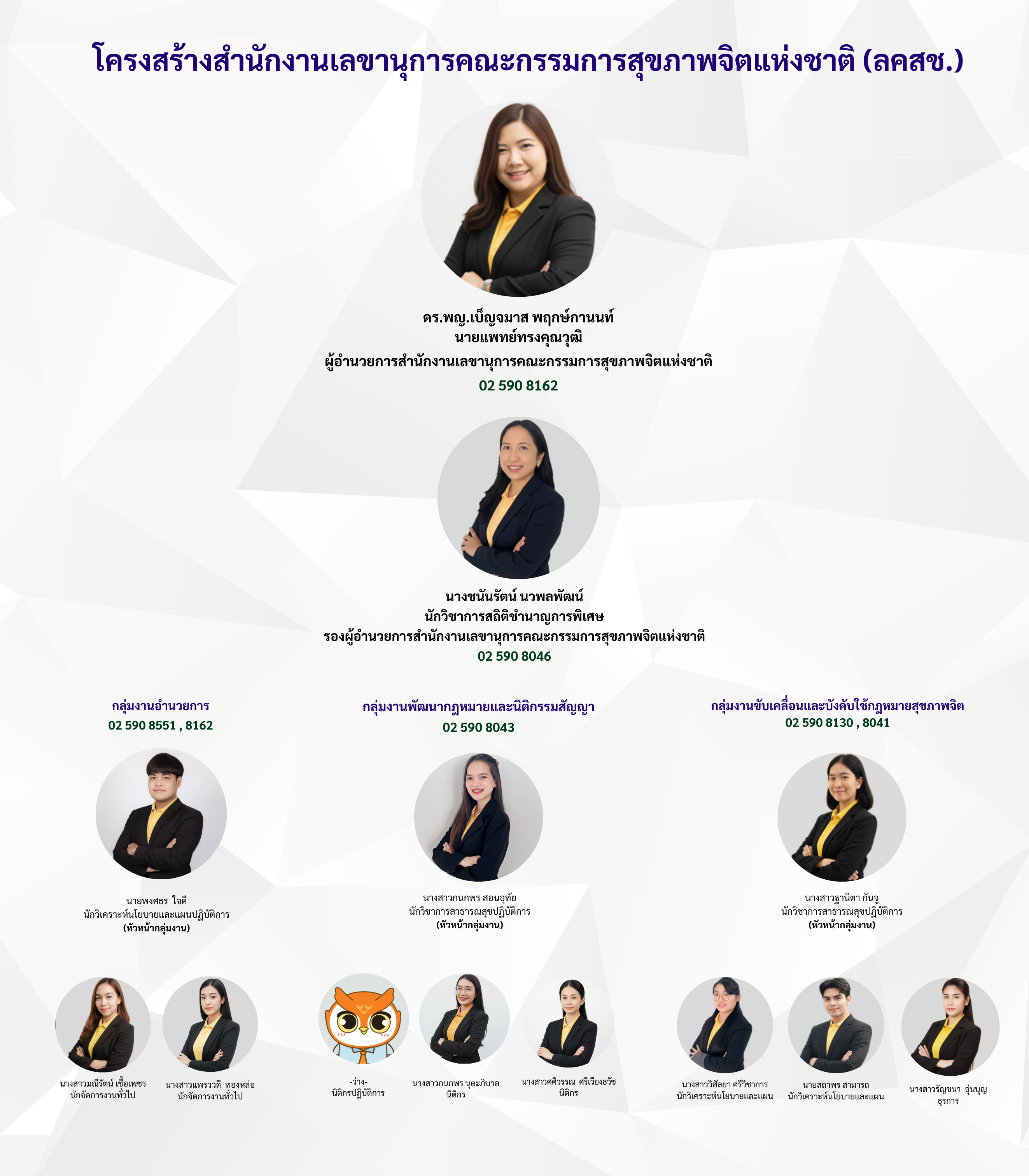 โครงสร้างสำนักงานเลขานุการคณะกรรมการสุขภาพจิตแห่งชาติ